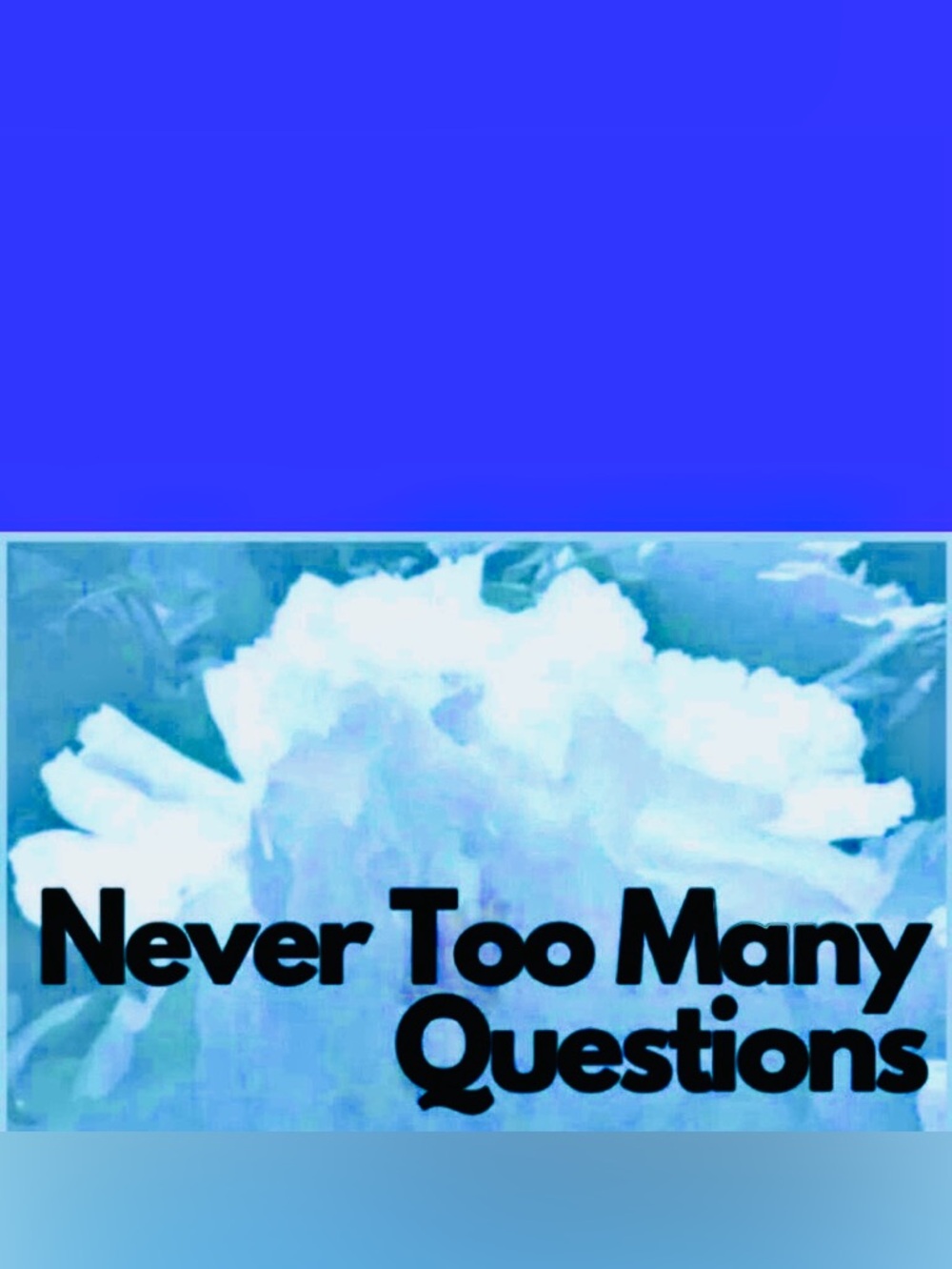 Questions Always Welcomed Here!
